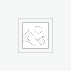 bernese mountain dog for sale